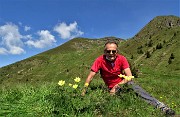 14 Accanto a fiori di pulsatilla alpina sulfurea con vista sul Monte Avaro